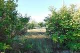11 Tigermoth Crescent - Photo 8