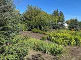 14 Alberta Avenue - Photo 5