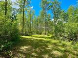 10 15023 Highway 55 - Photo 4