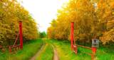 30 Lac La Biche Settlement - Photo 4