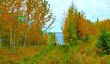 30 Lac La Biche Settlement - Photo 5