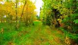 30 Lac La Biche Settlement - Photo 9