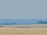  Symons Valley - Photo 1