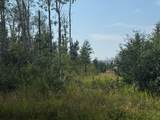 520 Diamond Willow Drive - Photo 2