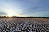 7005 Highway 53 - Photo 3