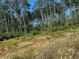 146 Poplar Drive Rr - Photo 6
