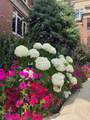 600 Princeton Way - Photo 31