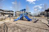 204 Sparrow Hawk Drive - Photo 3
