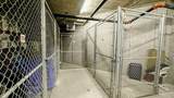 4303 1 Street - Photo 31