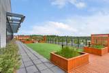 317 9A Street - Photo 23