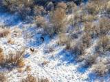57 Uplands Ridge - Photo 13