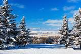 57 Uplands Ridge - Photo 14