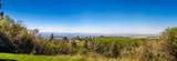 57 Uplands Ridge - Photo 3