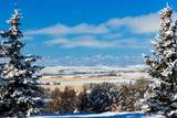 57 Uplands Ridge - Photo 5