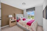 67 Ambleside Park - Photo 31
