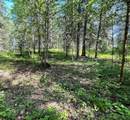 221054 670 Township - Photo 11