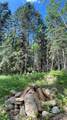 221054 670 Township - Photo 9