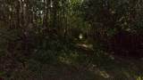 Westview Drive - Photo 12