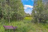 262107 Poplar Hill Drive - Photo 49