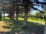 411 5 Street - Photo 34