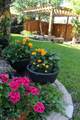 62 Upland Road - Photo 36