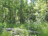 Lot #20 Wapiti River Sw-21-69-10-W6 - Photo 9