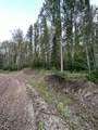 #14 Wapiti River - Photo 14