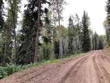 #14 Wapiti River - Photo 5