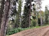 #14 Wapiti River - Photo 6