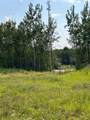 67417 Mcgrane Road - Photo 3