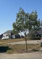 2039 Sunflower Crescent - Photo 1