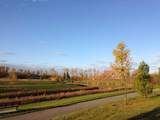 On 106 Street - Photo 6