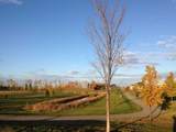 On 106 Street - Photo 7