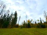 119 Meadow Ponds Drive - Photo 3