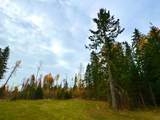 119 Meadow Ponds Drive - Photo 4