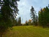 119 Meadow Ponds Drive - Photo 5