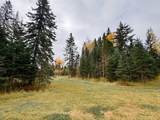 119 Meadow Ponds Drive - Photo 7