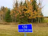 120 Meadow Ponds Drive - Photo 10