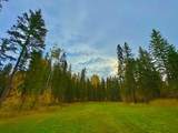 156 Meadow Ponds Drive - Photo 4