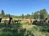 583030A Range Road 121 - Photo 44