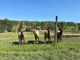583030A Range Road 121 - Photo 8