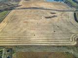 54.28 Acres on 96th Street - Photo 13