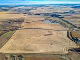 54.28 Acres on 96th Street - Photo 14