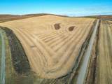 54.28 Acres on 96th Street - Photo 5