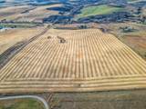54.28 Acres on 96th Street - Photo 9