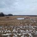 Lot 4 Range Road 175 - Photo 2