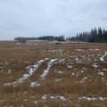 Lot 4 Range Road 175 - Photo 4