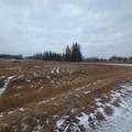 Lot 4 Range Road 175 - Photo 5