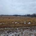 Lot 4 Range Road 175 - Photo 7