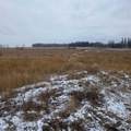 Lot 4 Range Road 175 - Photo 8